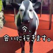 ヒメ日記 2025/10/04 17:45 投稿 ※店長※　大空　夢 AVANT GARDE