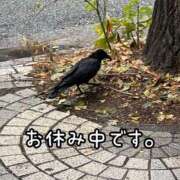 ヒメ日記 2025/10/26 11:36 投稿 ※店長※　大空　夢 AVANT GARDE