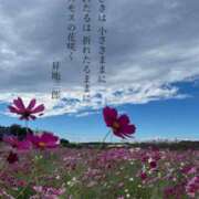 ヒメ日記 2025/10/27 09:38 投稿 ※店長※　大空　夢 AVANT GARDE