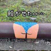 ヒメ日記 2025/10/27 20:05 投稿 ※店長※　大空　夢 AVANT GARDE