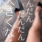 ヒメ日記 2025/10/29 11:50 投稿 ※店長※　大空　夢 AVANT GARDE