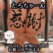 ヒメ日記 2025/11/29 22:16 投稿 ※店長※　大空　夢 AVANT GARDE