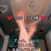 ヒメ日記 2025/11/30 12:24 投稿 ※店長※　大空　夢 AVANT GARDE