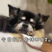 ヒメ日記 2026/02/18 09:04 投稿 ※店長※　大空　夢 AVANT GARDE