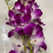 ヒメ日記 2026/02/27 11:58 投稿 ※店長※　大空　夢 AVANT GARDE