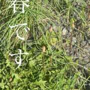 ヒメ日記 2026/03/30 10:06 投稿 ※店長※　大空　夢 AVANT GARDE