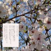 ヒメ日記 2026/04/04 09:36 投稿 ※店長※　大空　夢 AVANT GARDE