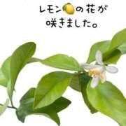 ヒメ日記 2026/04/28 10:44 投稿 ※店長※　大空　夢 AVANT GARDE