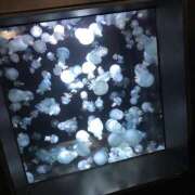 ヒメ日記 2025/02/23 23:28 投稿 れおな 白いぽっちゃりさん仙台店