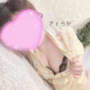 ヒメ日記 2025/07/18 00:41 投稿 きょうか かりんと五反田