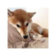 ヒメ日記 2025/02/03 09:03 投稿 そらの 秋葉原コスプレ学園in仙台