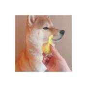 ヒメ日記 2025/04/08 16:03 投稿 そらの 秋葉原コスプレ学園in仙台