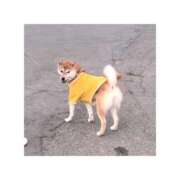 ヒメ日記 2026/01/02 11:53 投稿 そらの 秋葉原コスプレ学園in仙台