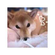 ヒメ日記 2026/01/30 09:03 投稿 そらの 秋葉原コスプレ学園in仙台