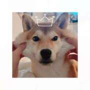 ヒメ日記 2026/02/26 07:13 投稿 そらの 秋葉原コスプレ学園in仙台