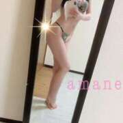 ヒメ日記 2025/08/31 17:23 投稿 あまね奥様 デザイア日本橋