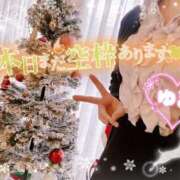 ヒメ日記 2024/12/19 15:31 投稿 青羽 優茉 Sチャンネル