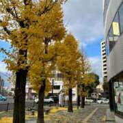 ヒメ日記 2024/12/23 17:06 投稿 青羽 優茉 Sチャンネル