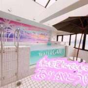 ヒメ日記 2025/04/28 15:56 投稿 青羽 優茉 Sチャンネル