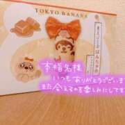 ヒメ日記 2025/06/28 07:36 投稿 青羽 優茉 Sチャンネル