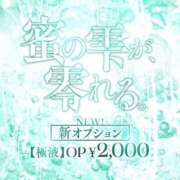 ヒメ日記 2026/02/06 13:47 投稿 青羽 優茉 Sチャンネル