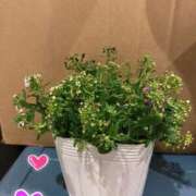 ヒメ日記 2025/03/02 19:31 投稿 森田 鶯谷人妻城