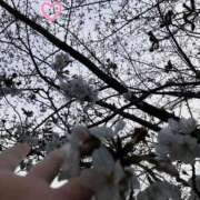 ヒメ日記 2025/03/29 14:45 投稿 森田 鶯谷人妻城