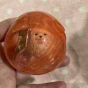 ヒメ日記 2026/01/19 22:22 投稿 森田 鶯谷人妻城