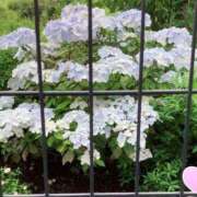 ヒメ日記 2026/05/05 09:28 投稿 森田 鶯谷人妻城