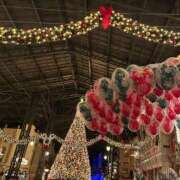 ヒメ日記 2025/11/25 18:28 投稿 成瀬あんり Finemotion