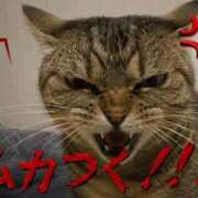 ヒメ日記 2026/06/30 13:08 投稿 成瀬あんり Finemotion