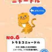 ヒメ日記 2023/09/14 13:26 投稿 ほたる 西川口おかあさん