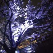 ヒメ日記 2025/03/31 02:00 投稿 ぱるる 新宿サンキュー