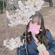 ヒメ日記 2025/04/10 21:31 投稿 ぱるる 新宿サンキュー