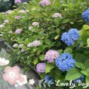 ヒメ日記 2025/06/04 22:20 投稿 ぱるる 新宿サンキュー