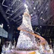 ヒメ日記 2025/12/19 13:12 投稿 ぱるる 新宿サンキュー