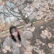 ヒメ日記 2026/04/11 19:22 投稿 ぱるる 新宿サンキュー