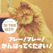 ヒメ日記 2025/03/11 12:31 投稿 マシュマロ 奴隷コレクション
