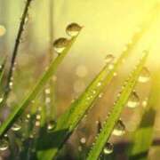 ヒメ日記 2025/09/07 12:31 投稿 マシュマロ 奴隷コレクション