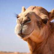 ヒメ日記 2025/12/19 12:31 投稿 マシュマロ 奴隷コレクション