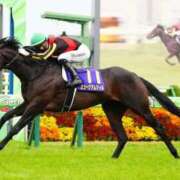 ヒメ日記 2025/12/28 18:58 投稿 マシュマロ 奴隷コレクション