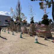 マシュマロ ('ω'o[定期]oお昼の雑学情報局 奴隷コレクション