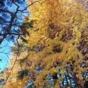 ヒメ日記 2024/12/11 20:55 投稿 上園（うえぞの） 鶯谷デッドボール