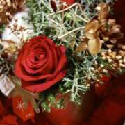 ヒメ日記 2024/12/14 19:59 投稿 上園（うえぞの） 鶯谷デッドボール