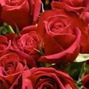 ヒメ日記 2024/12/22 19:32 投稿 上園（うえぞの） 鶯谷デッドボール