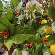 ヒメ日記 2024/12/27 20:32 投稿 上園（うえぞの） 鶯谷デッドボール