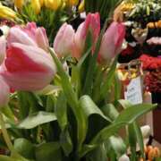 ヒメ日記 2025/01/07 08:22 投稿 上園（うえぞの） 鶯谷デッドボール