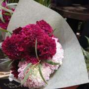 ヒメ日記 2025/01/13 08:59 投稿 上園（うえぞの） 鶯谷デッドボール