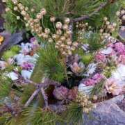 ヒメ日記 2025/01/13 20:09 投稿 上園（うえぞの） 鶯谷デッドボール