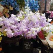 ヒメ日記 2025/01/14 12:09 投稿 上園（うえぞの） 鶯谷デッドボール